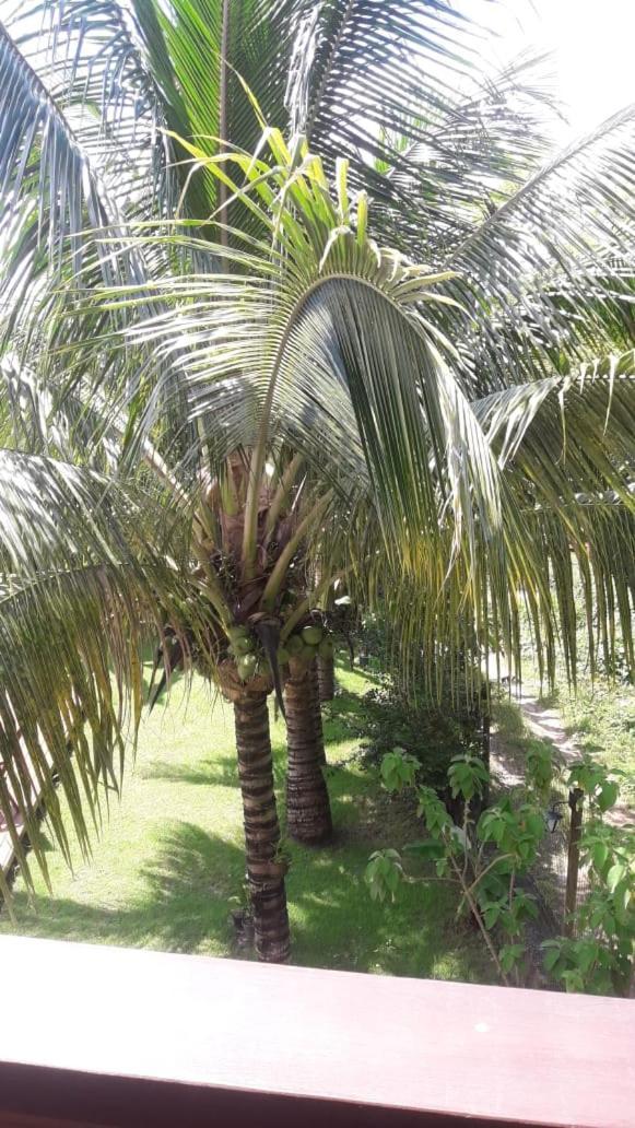 Pousada Do Dorinho Ilhabela Dış mekan fotoğraf